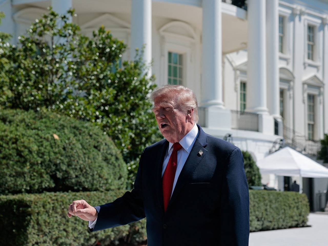 Трамп осчастливил траву