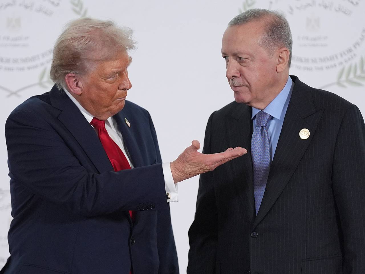 Трамп и Эрдоган обсудят возобновление переговоров по Украине
